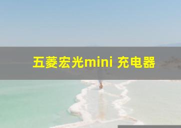 五菱宏光mini 充电器